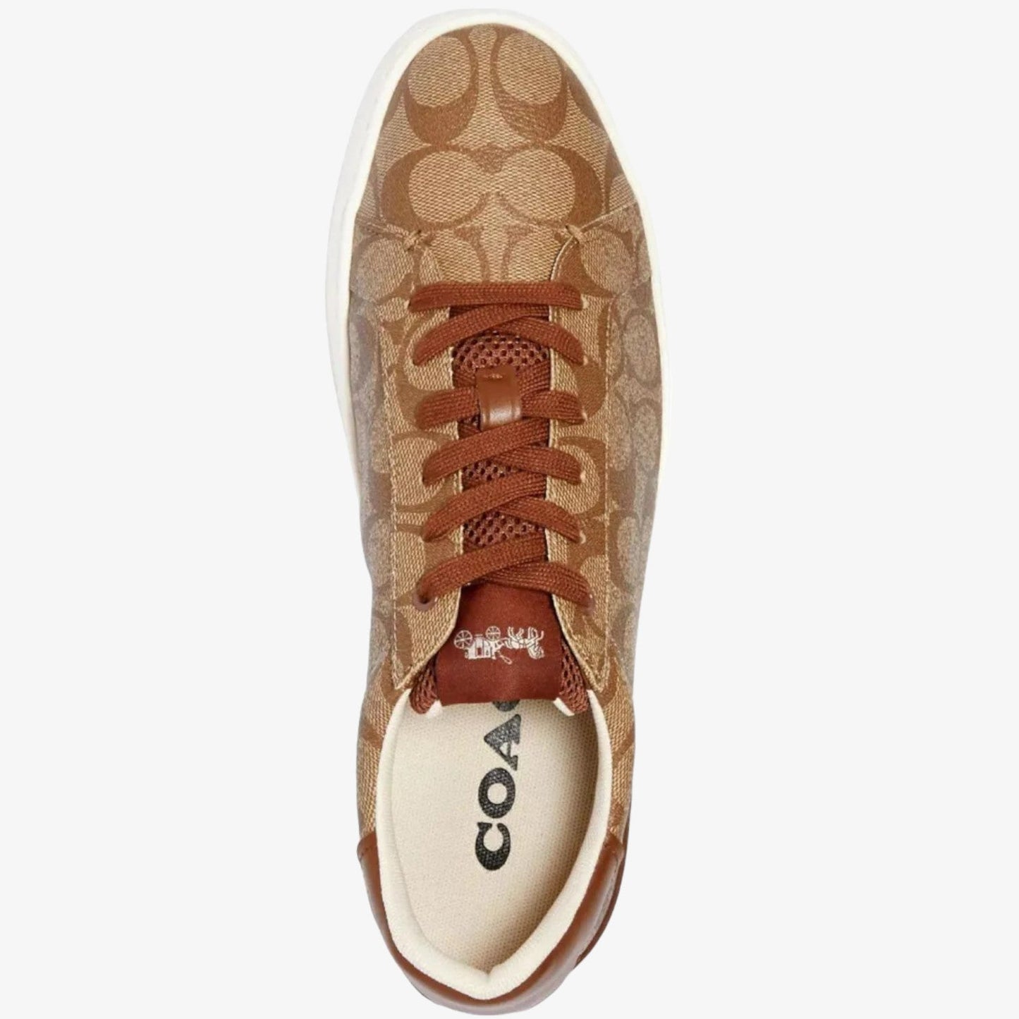 Coach Tenis Clip Low Signature Top Khaki