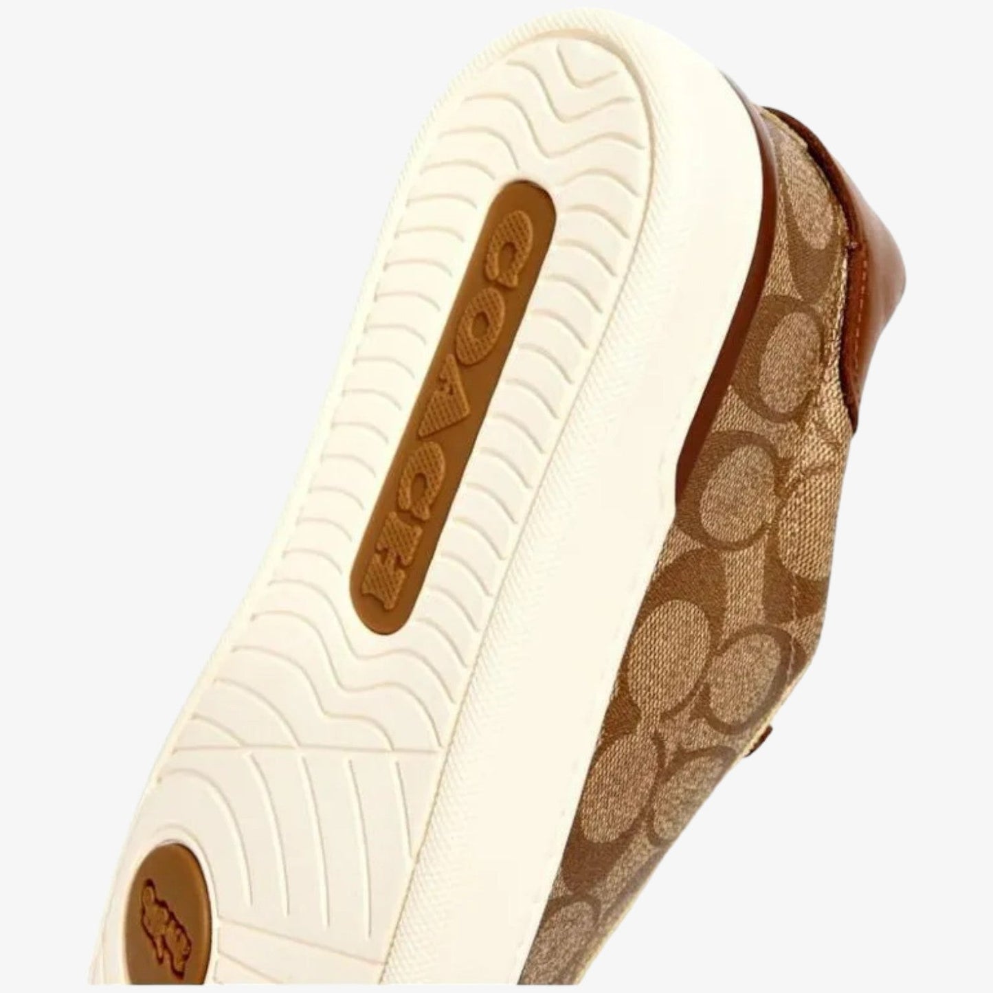 Coach Tenis Clip Low Signature Top Khaki