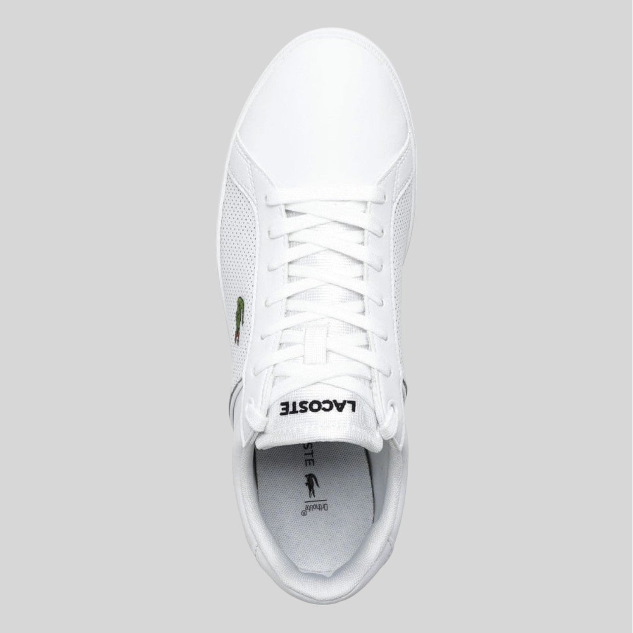 Lacoste Tenis Lite Base Wht