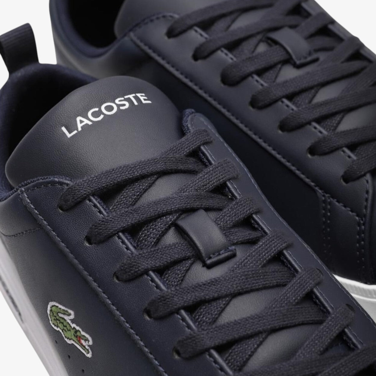 Lacoste Tenis Court Base Navy