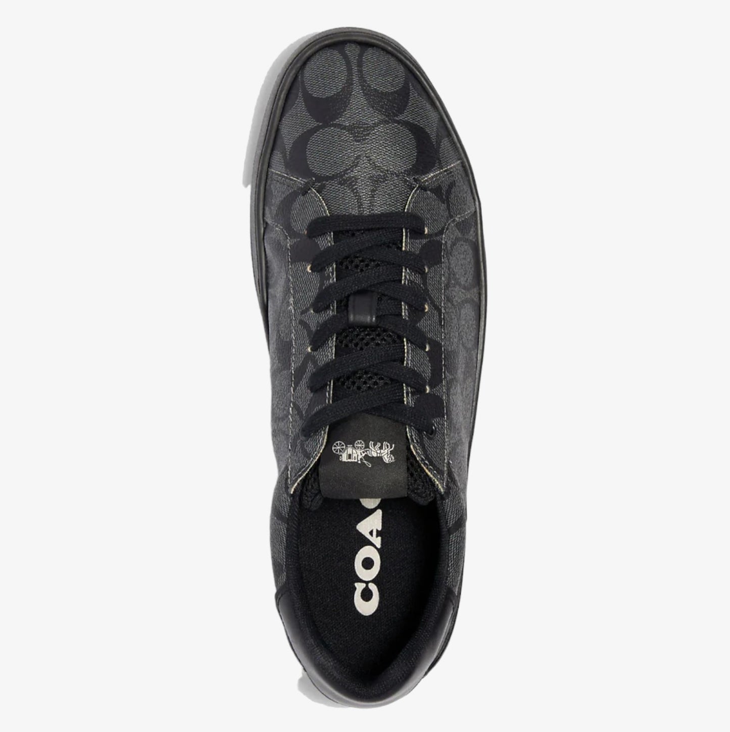 Coach Tenis Clip Low Top Signature Canvas Blk